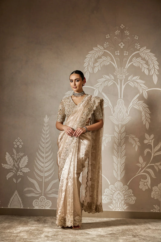 Aabroo Saree Set